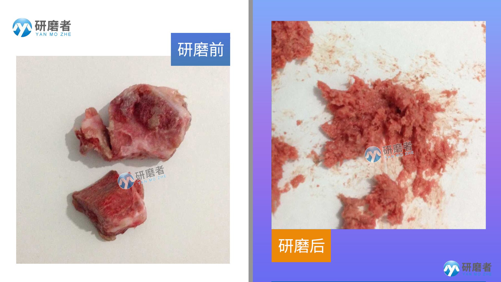 全自動樣品研磨儀研磨圖